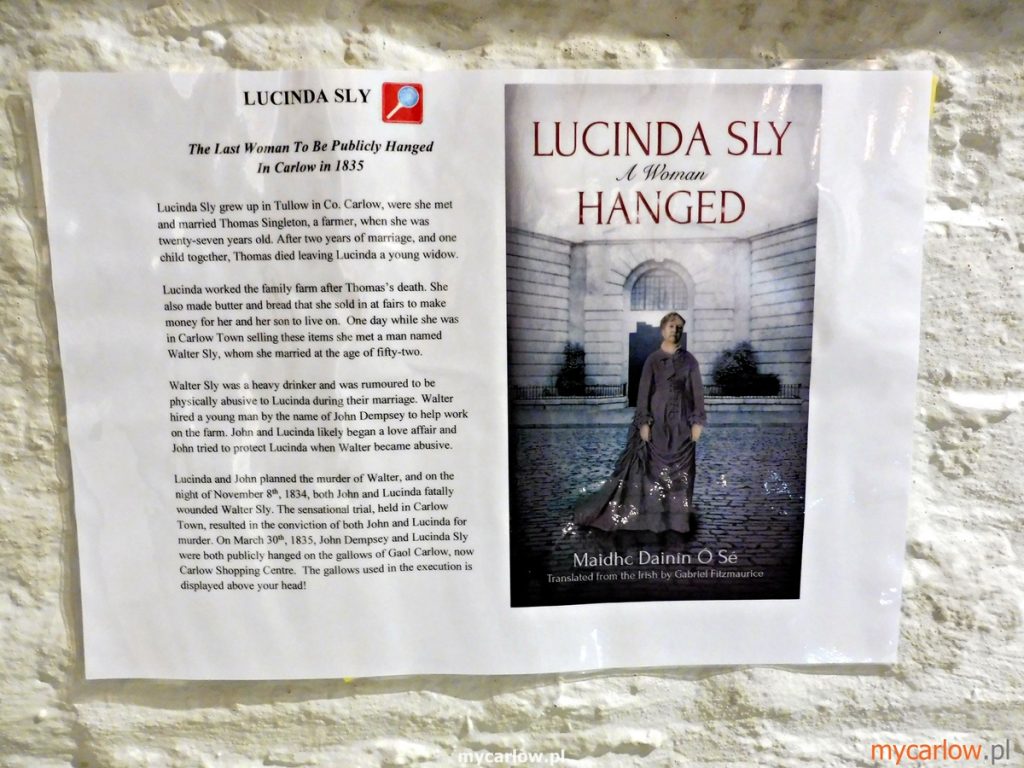 The novel “Lucinda Sly A Women Hanged” by  Maidhc Dainín Ó Sé 
- Photo taken in County Carlow Museum