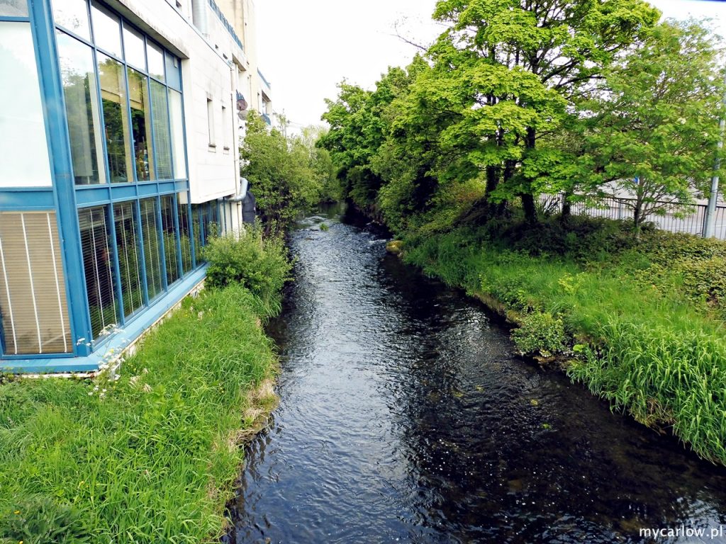 River Burren - Kennedy Ave, Carlow town