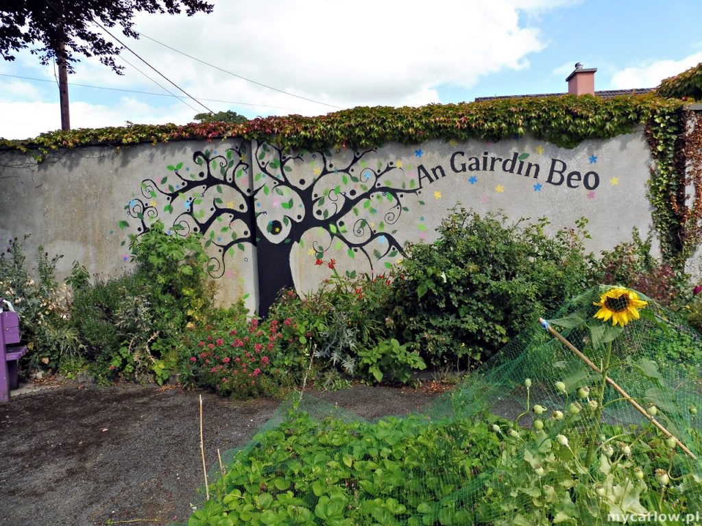 An Gairdín Beo, Carlow Town