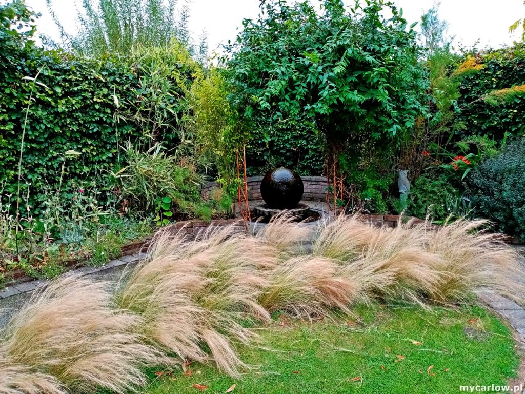 Must-visit places in County Carlow: Delta Sensory Gardens