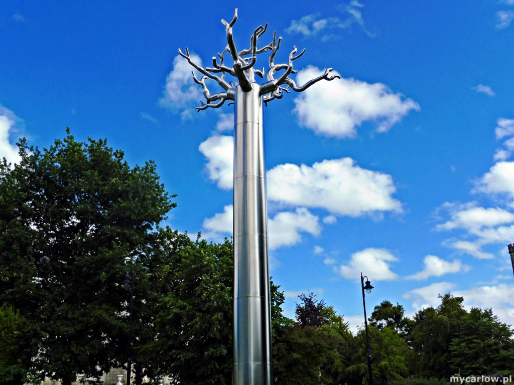 VISUAL Centre for Contemporary Art - Medusa Tree