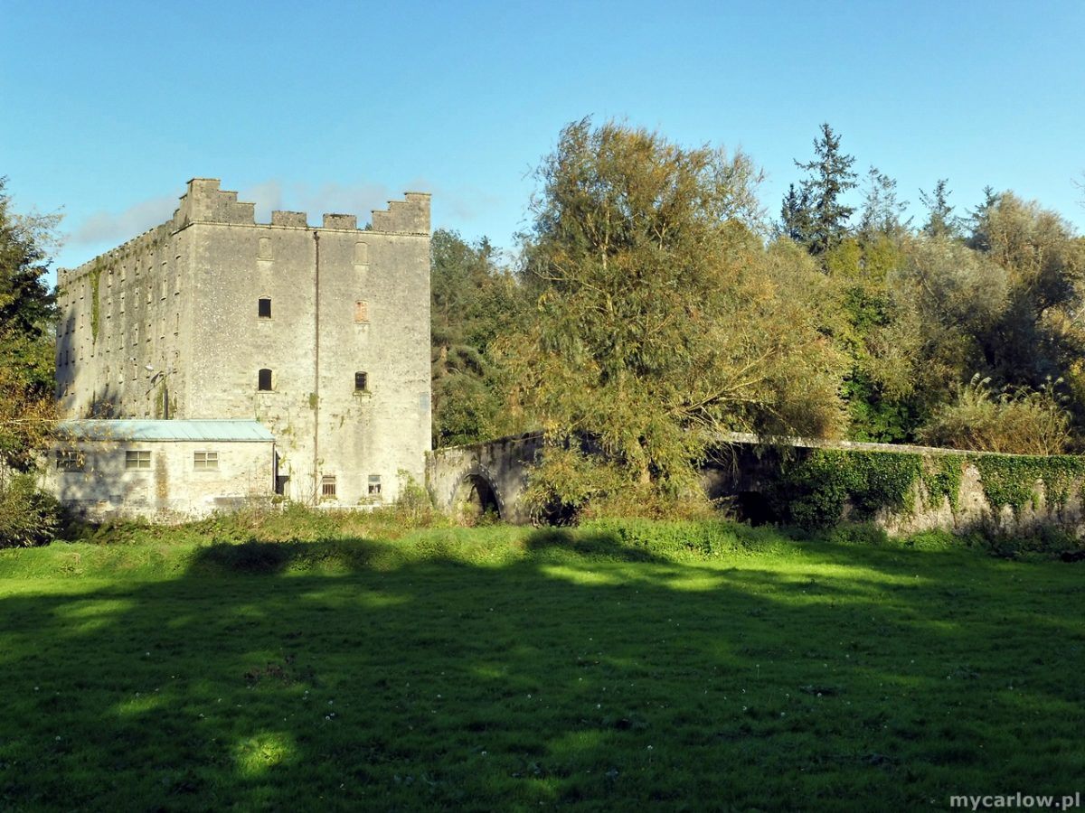 Must visit places in County Carlow