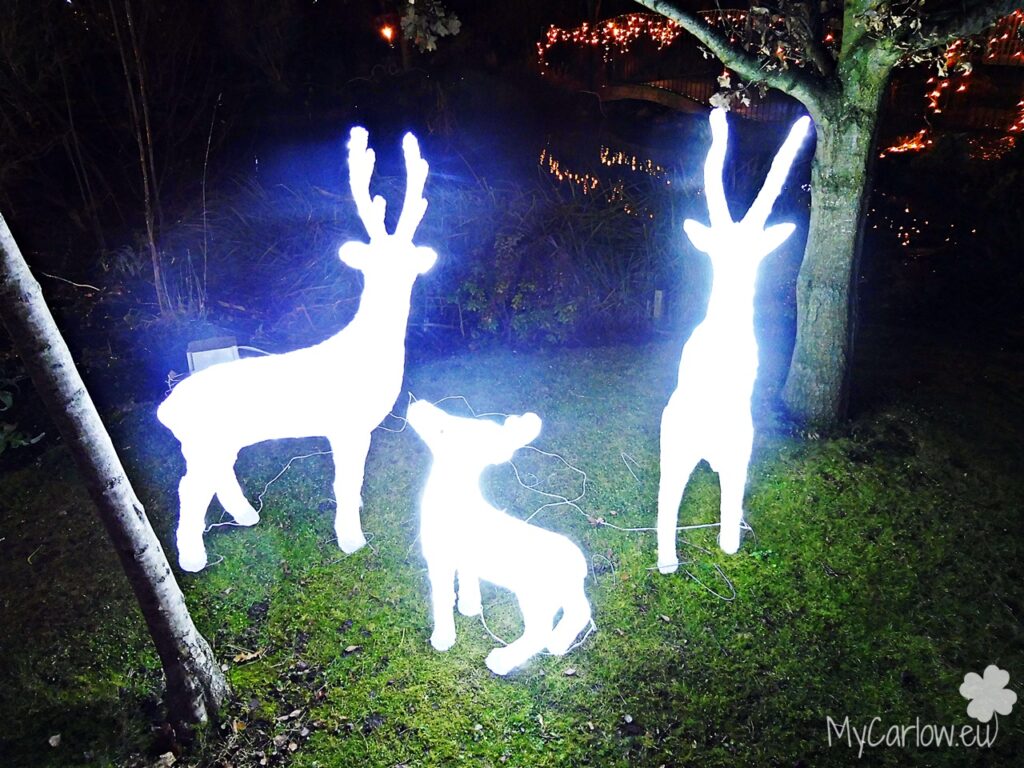Magical Christmas Lights at Delta Sensory Gardens