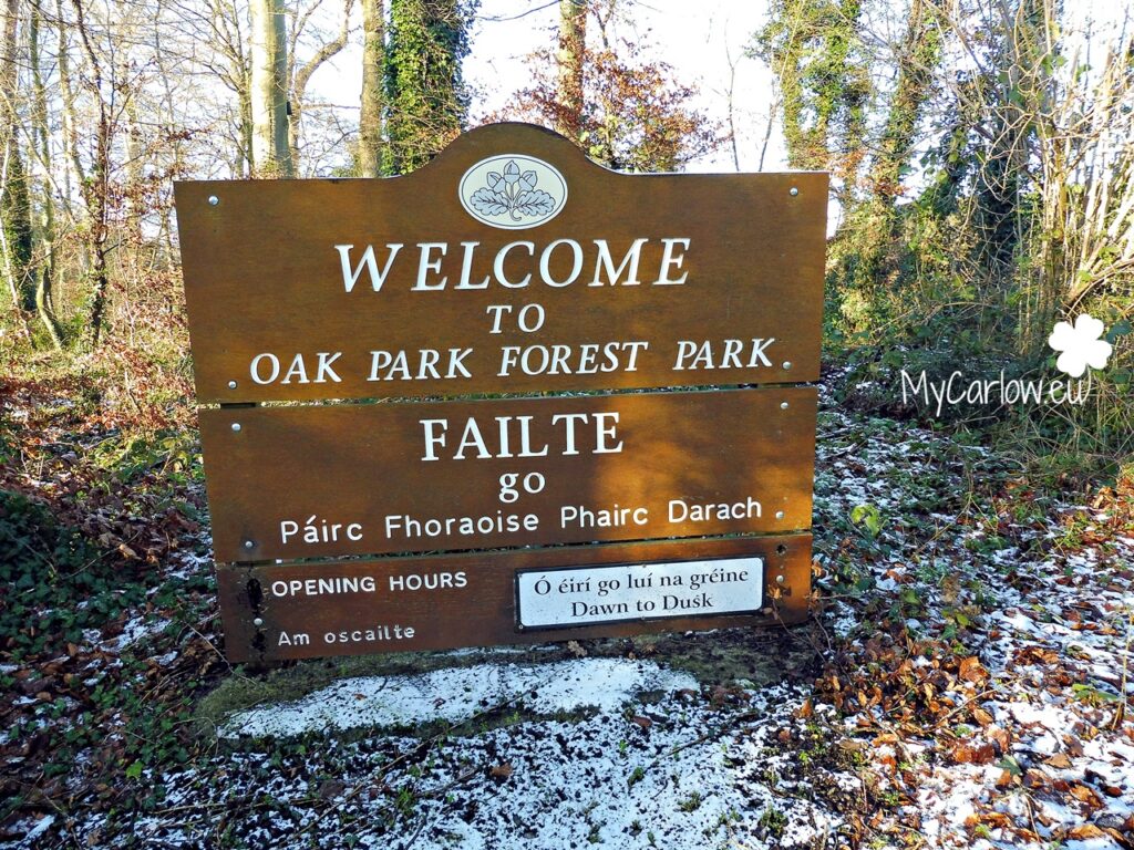 Oak Park Forest Park, County Carlow