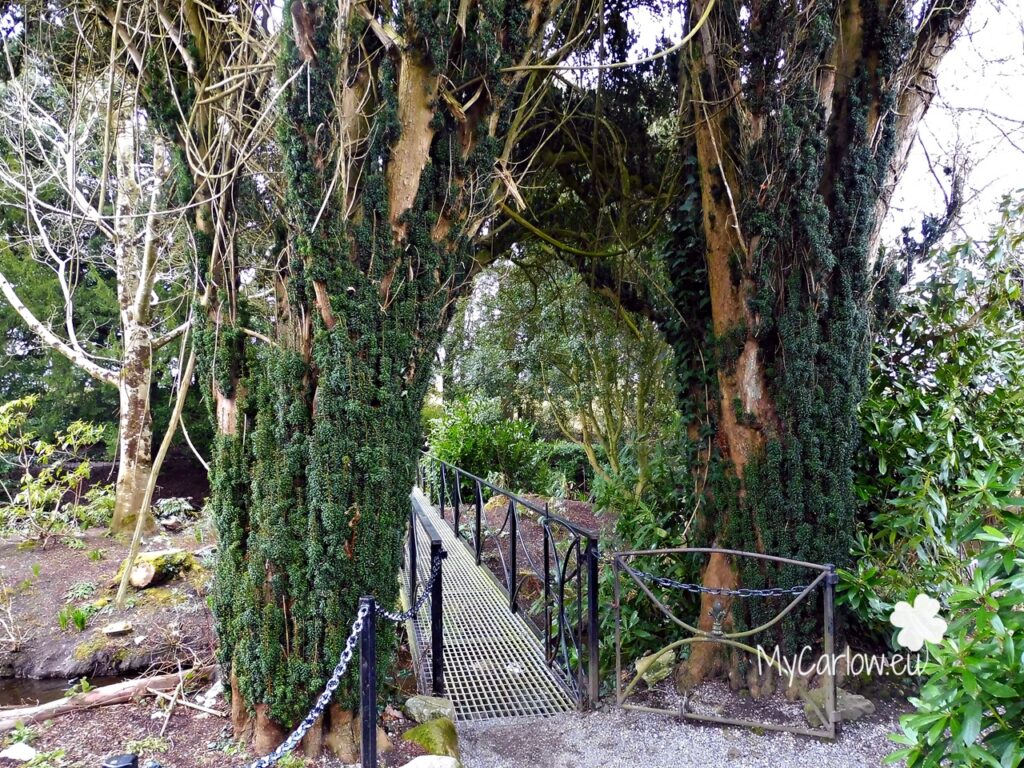 Must-visit places in County Carlow: Altamont Gardens