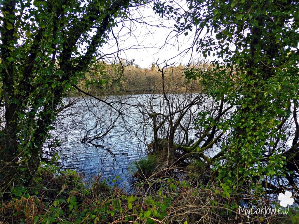 Killeshin Waterworks Reservoir Amenity Park, County Laois