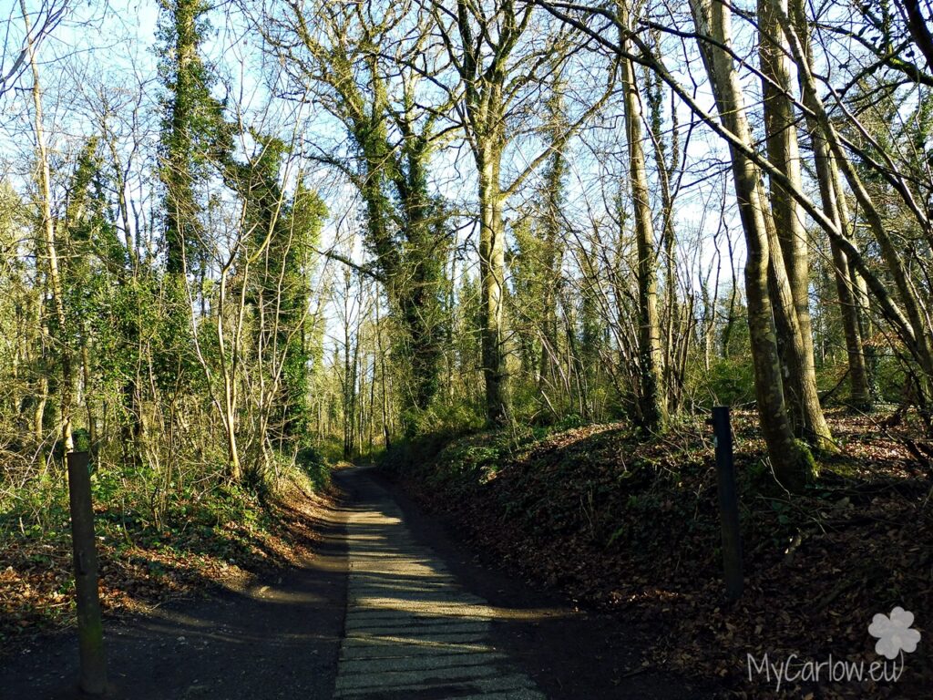 Oak Park Forest Park in Spring, County Carlow