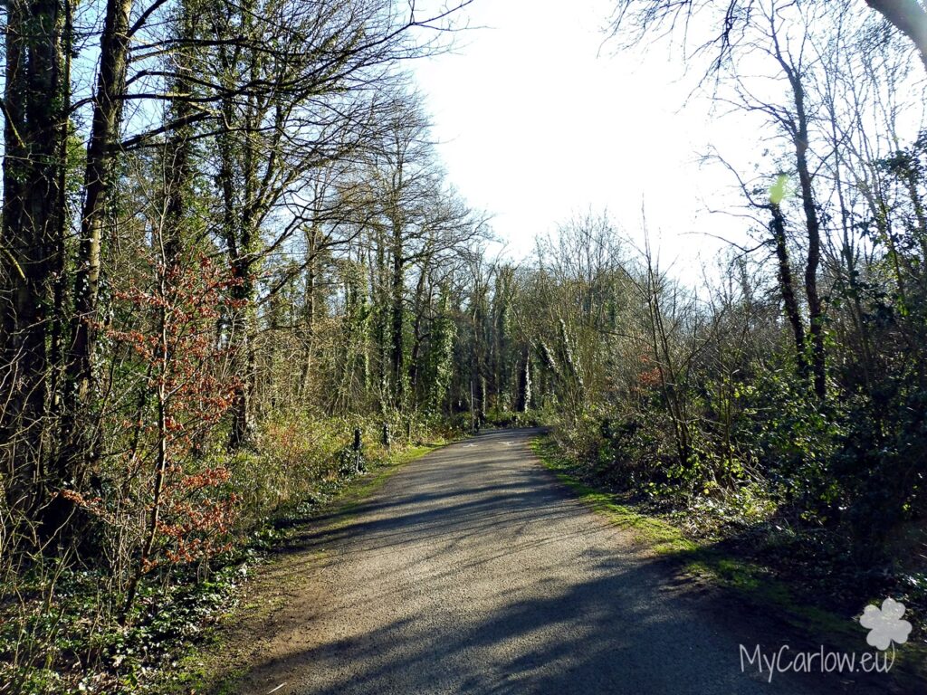 Oak Park Forest Park in Spring, County Carlow
