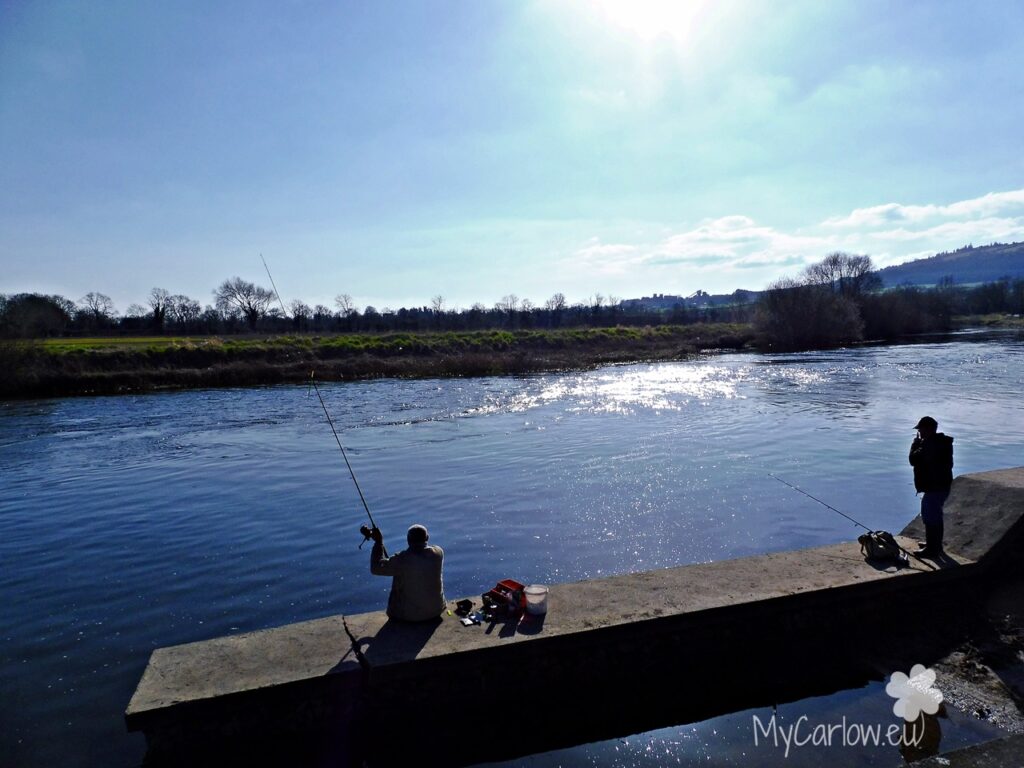 Clogrennan Lock, County Laois