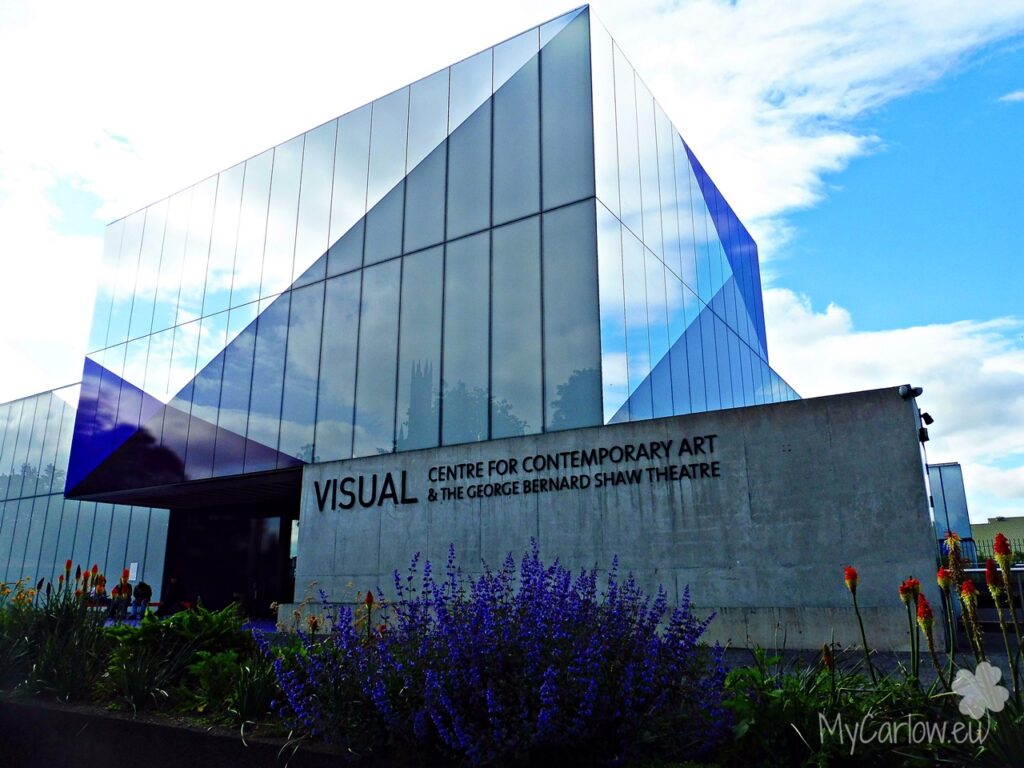 VISUAL Centre for Contemporary Art (June - September 2021)