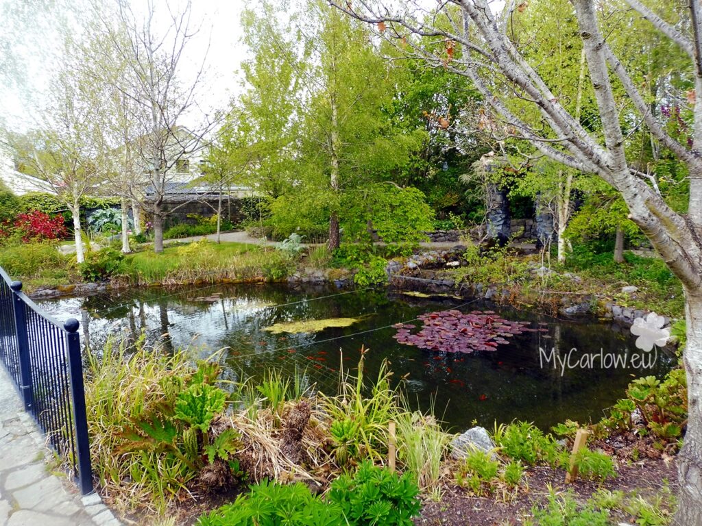 Delta Sensory Gardens May 2021, County Carlow