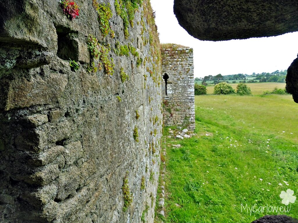 Ballymoon Castle, County Carlow