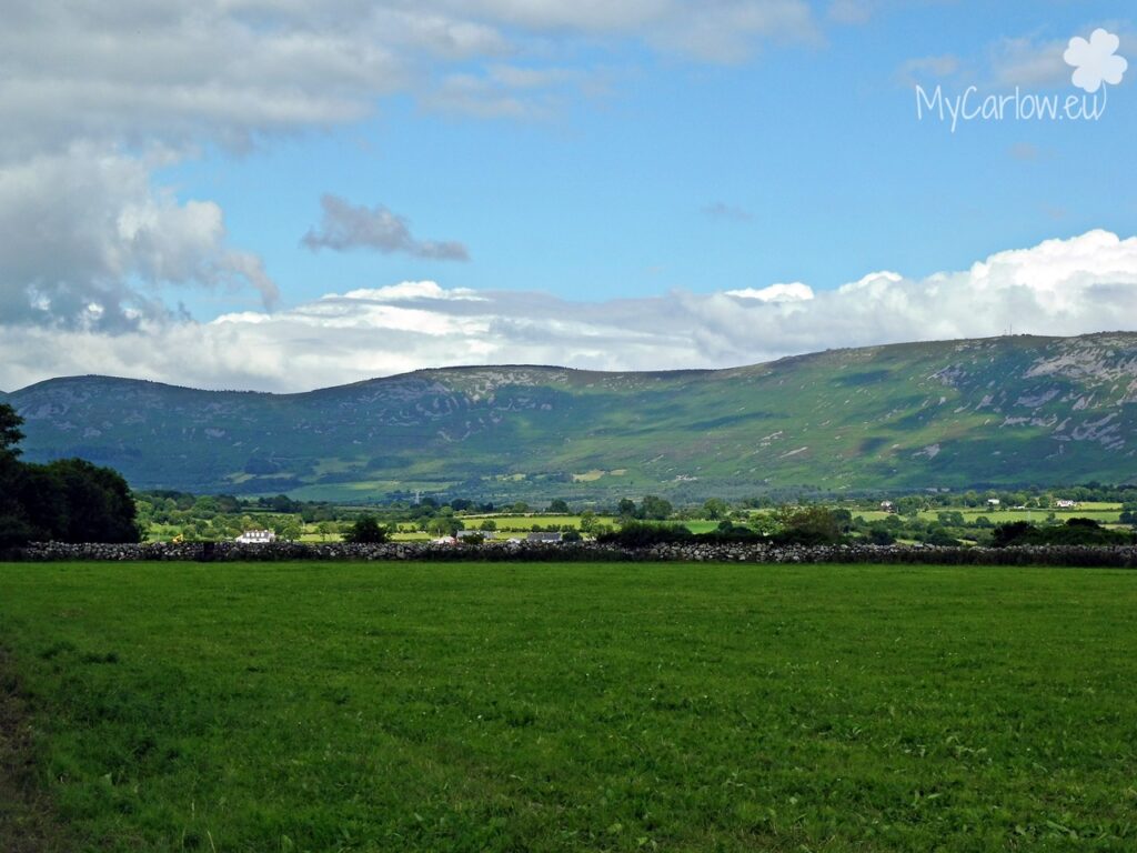 Beautiful landscape on the way from Graiguenamanagh to Saint Mullin's