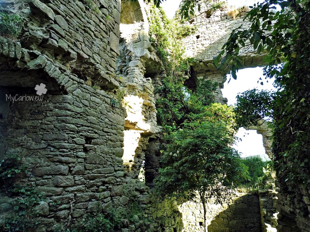 Clonmore Castle, County Carlow