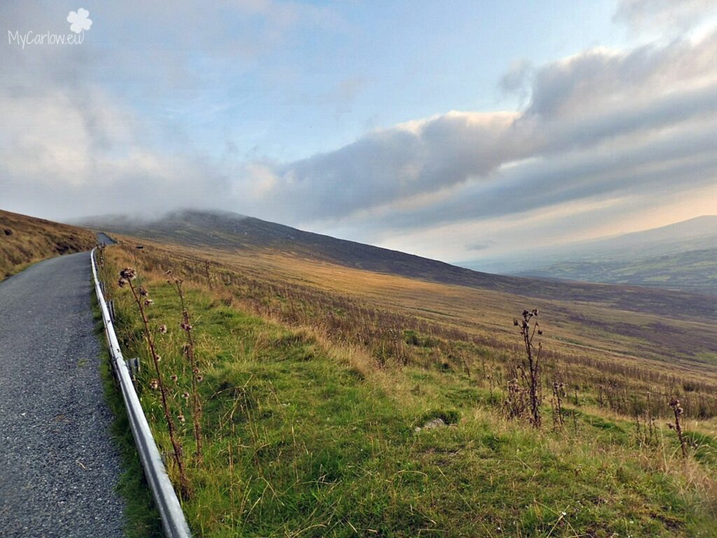 Mount Leinster, County Carlow