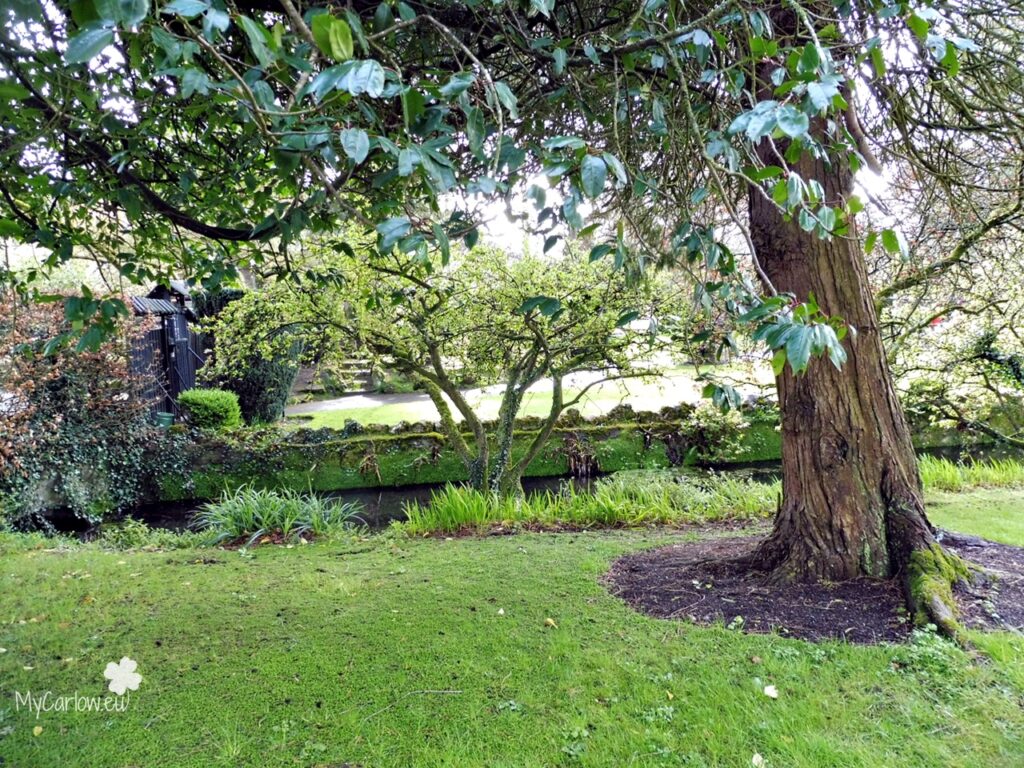Japanese Gardens, The Irish National Stud and Gardens, County Kildare