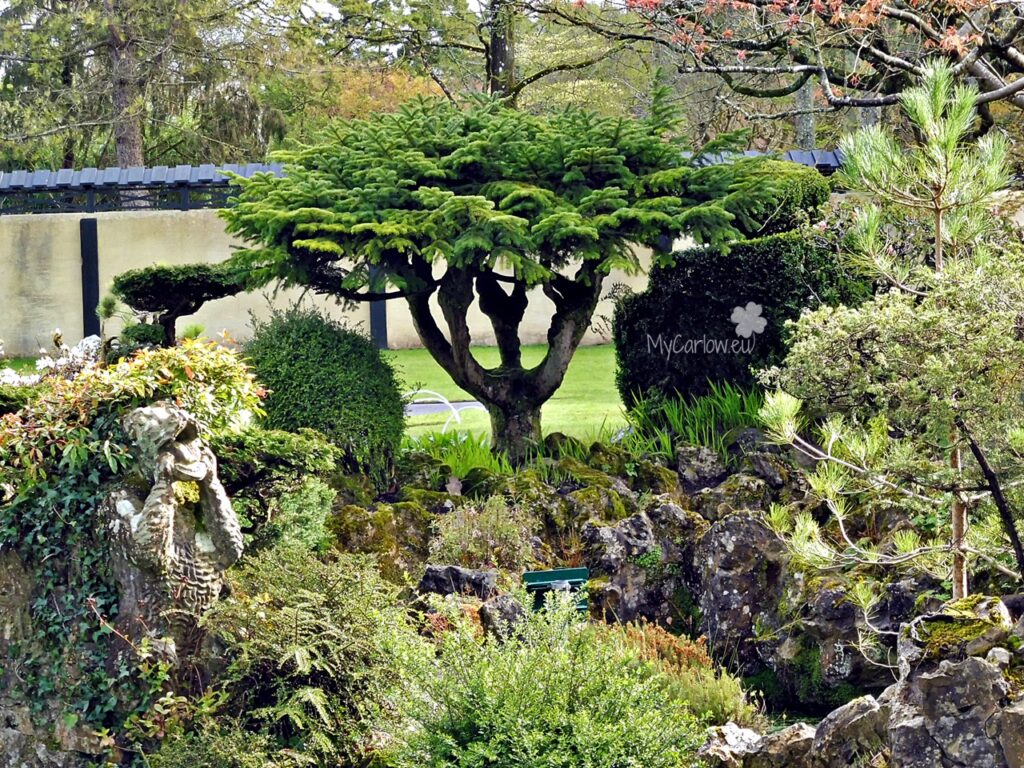Japanese Gardens, The Irish National Stud and Gardens, County Kildare