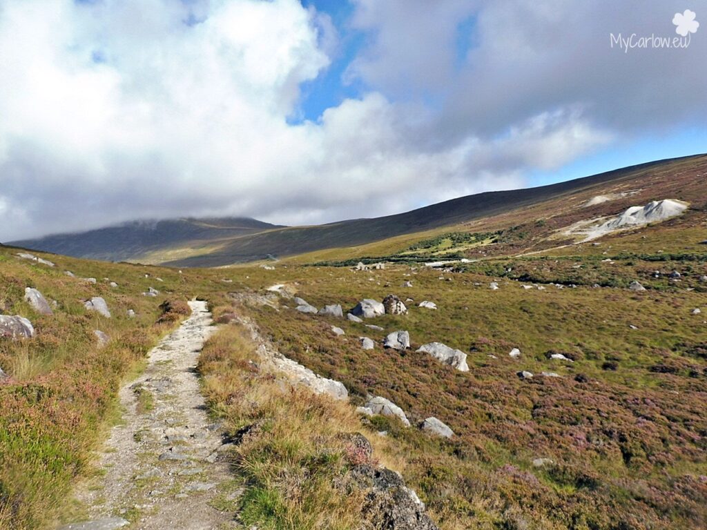 Wicklow Mountains National Park, County Wicklow