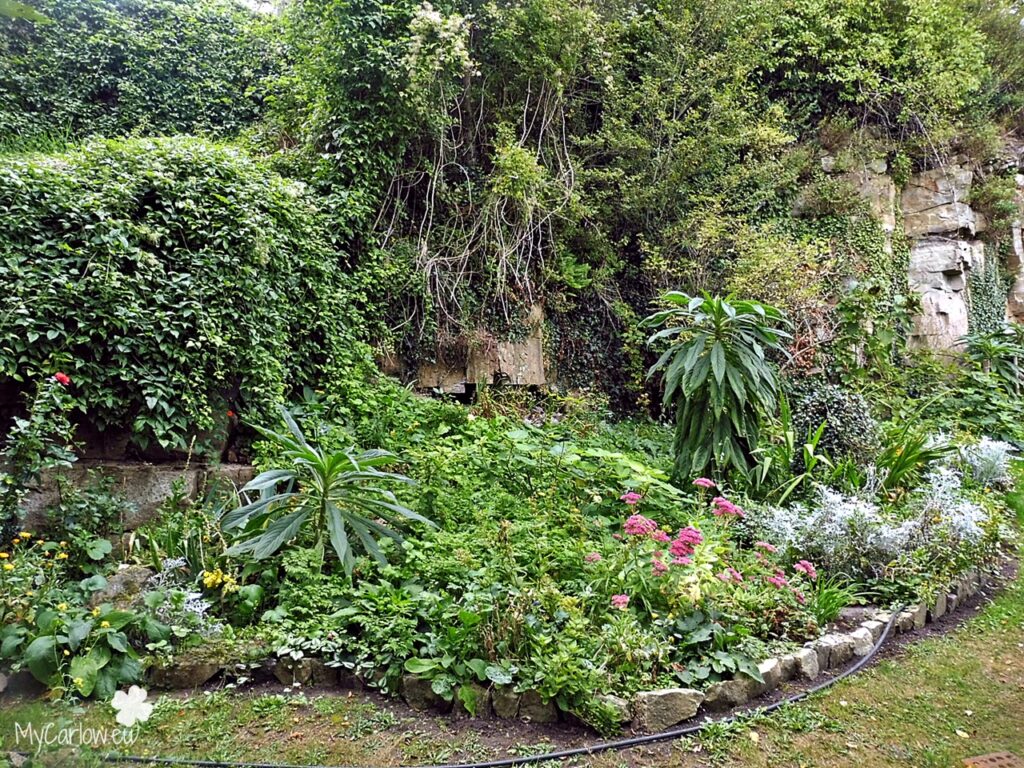 The Upper Paddock Biodiversity Garden, Thomastown, County Kilkenny