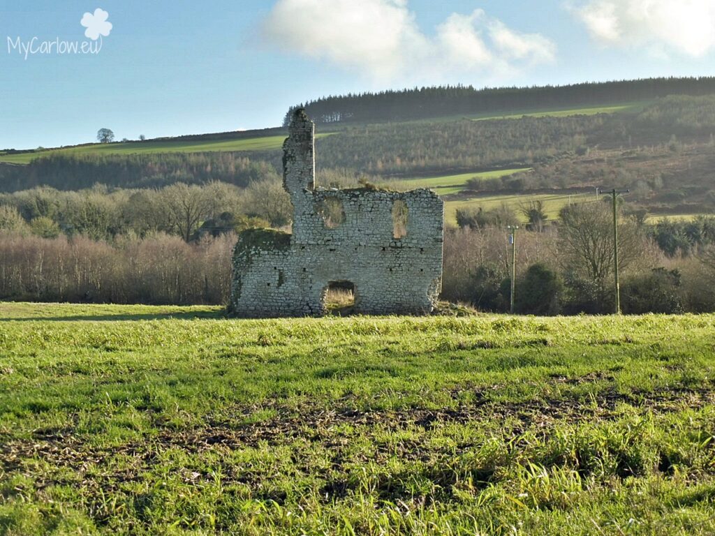 Rathnageeragh Castle, County Carlow