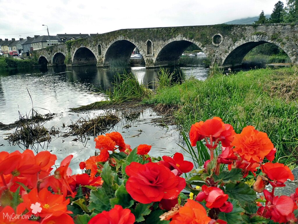 Second visit to Graiguenamanagh, Co. Kilkenny