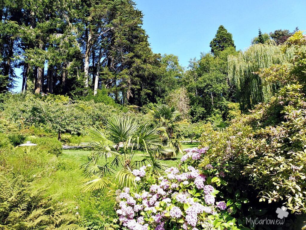 Japanese Garden at Powerscourt Garden, County Wicklow